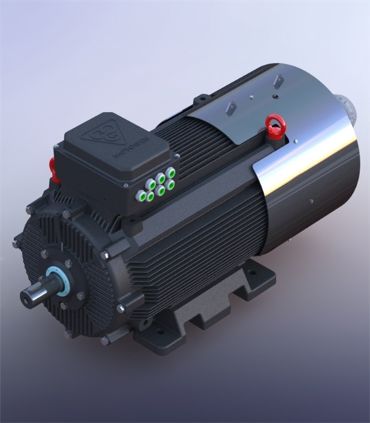 Single-speed three-phase induction electromotor with cast iron frame 400XL6B 500-1000 55F 400/690 IC 411