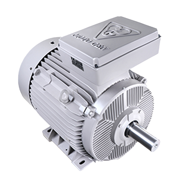 Single-speed inverter duty three-phase induction electromotor with cast iron frame 315S4B 132-1500 55F 380/600 InDu