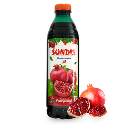 SUNDIS Assorted Fruit Juice Drinks  1 Liter PET Bottle