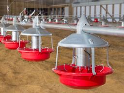 feed transportation system