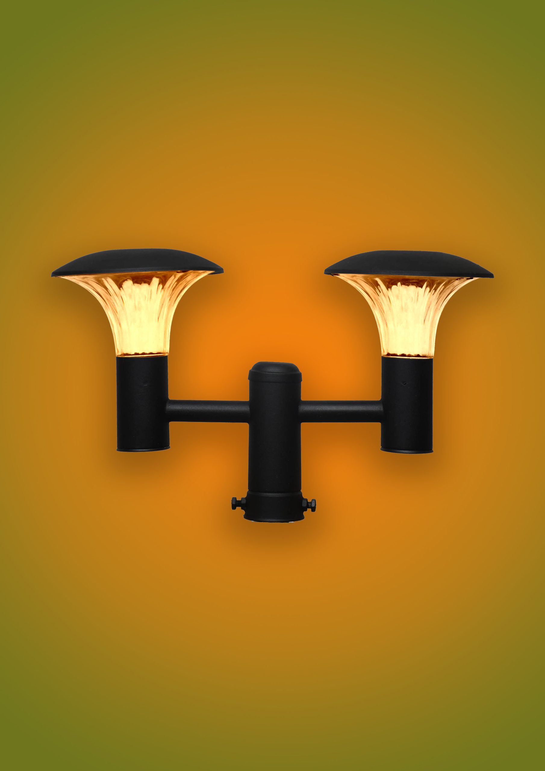 Talia Double-Head LED Pole Top Light (Outdoor)