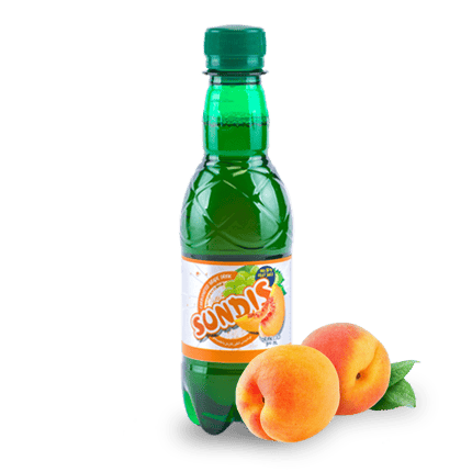 SUNDIS Assorted Sparkling Fruit Drinks  PET Bottle (Mini Size)