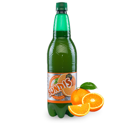 SUNDIS Assorted Sparkling Fruit Drinks 1 Liter PET Bottle