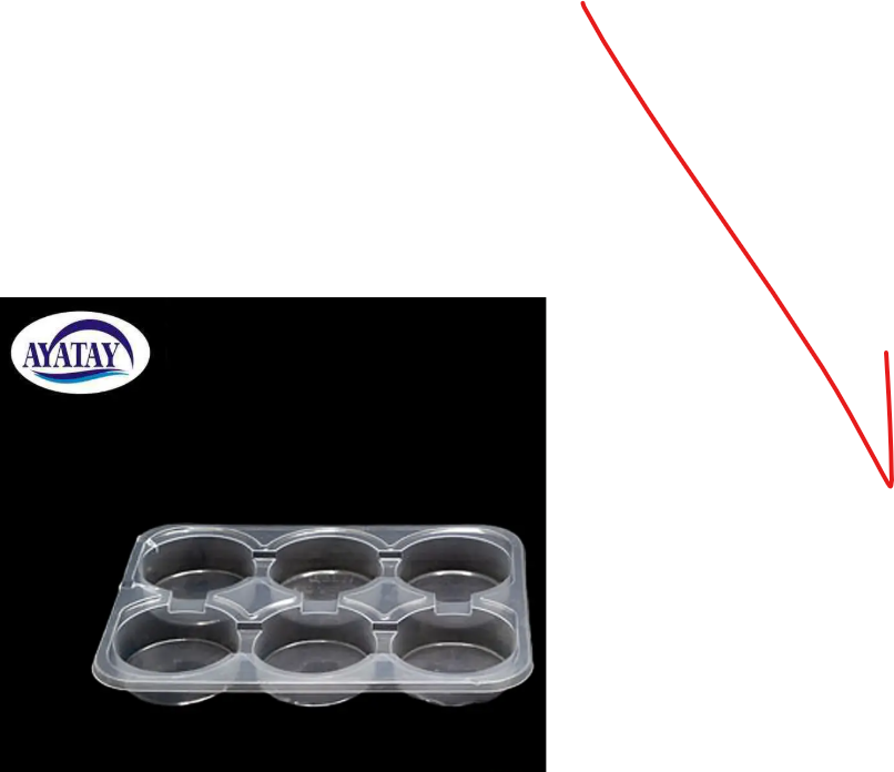 Disposable container