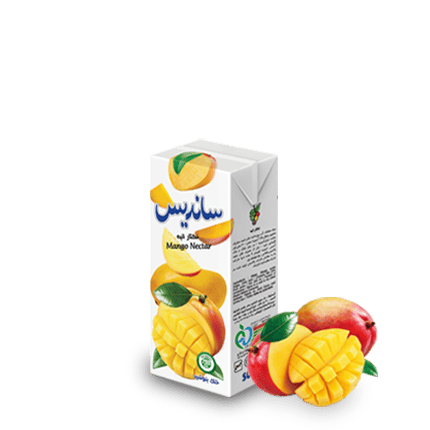 Sanariss Assorted Fruit Nectar 200 ml Tetra Pak