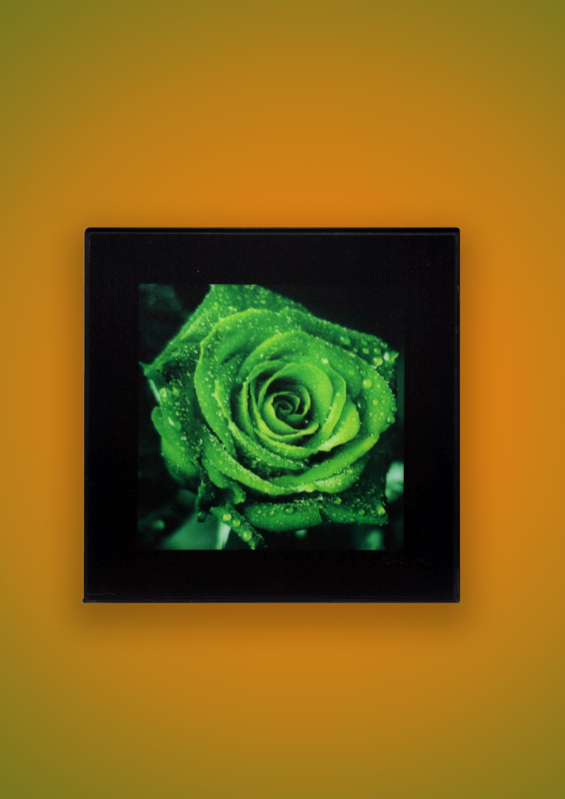 Mana LED Night Light  Floral Design