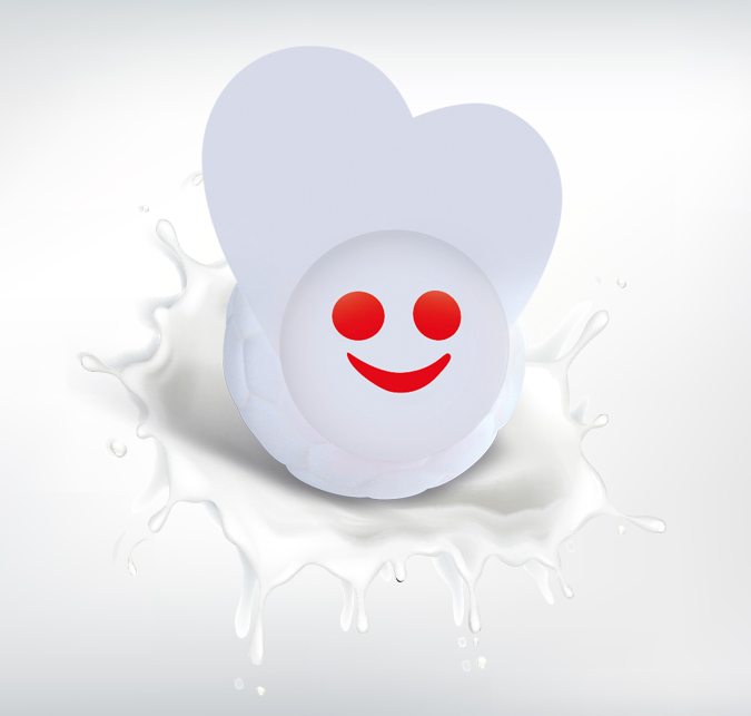 Vanilla Milk Pasteurized & Homogenized Ball Ice Cream