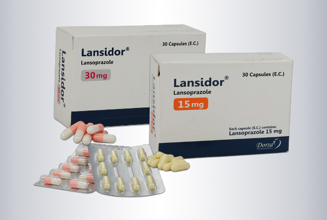 Lansidor