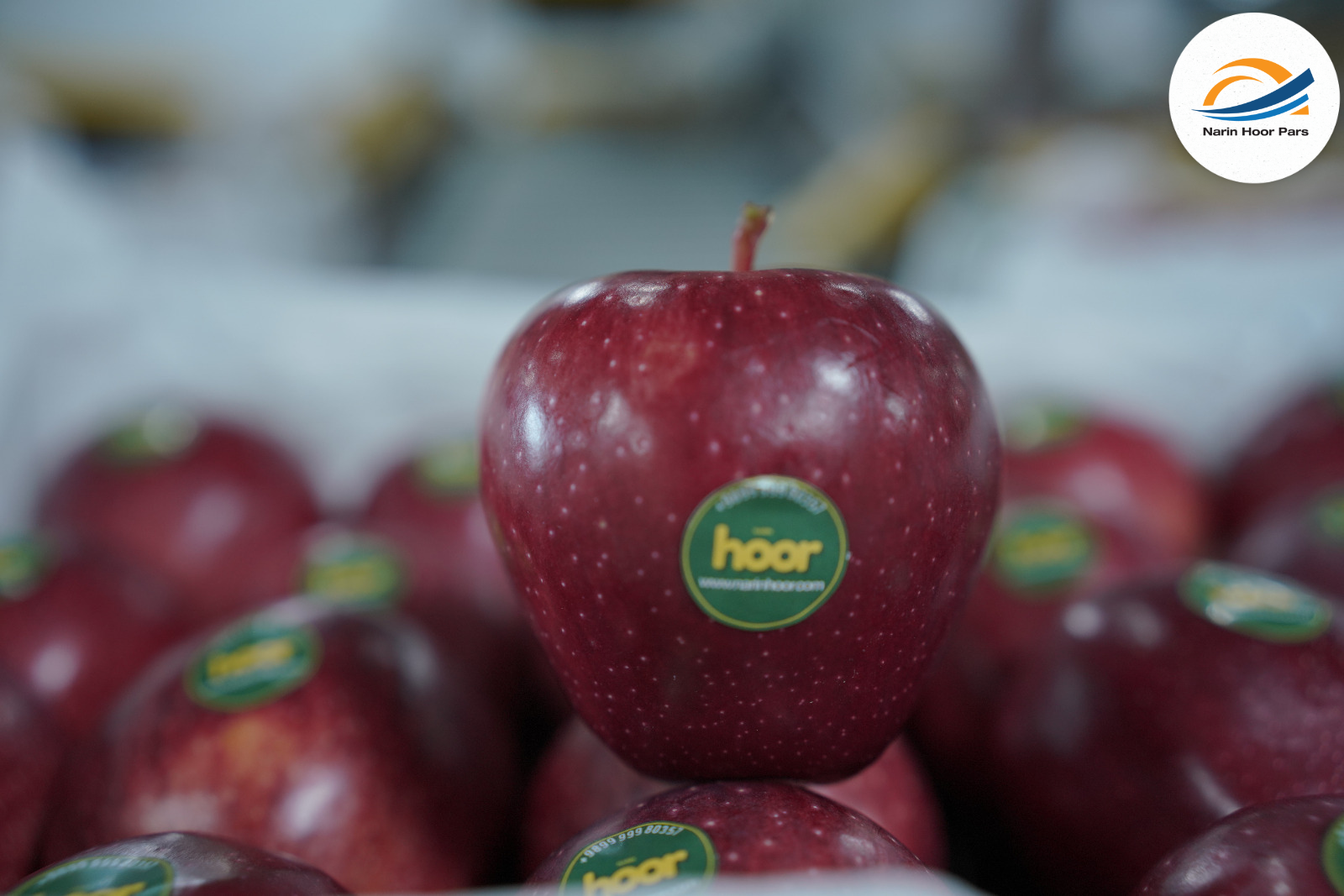 Fresh Red Apples