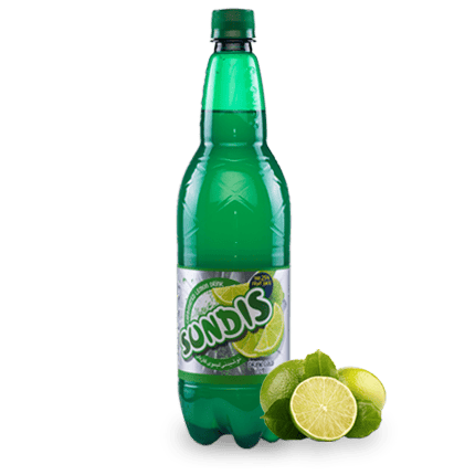 SUNDIS Assorted Sparkling Fruit Drinks 1 Liter PET Bottle