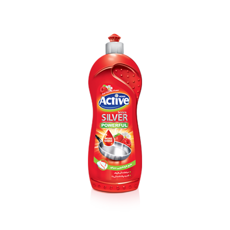 Active Dishwashing Liquid Silver Series 750gr
