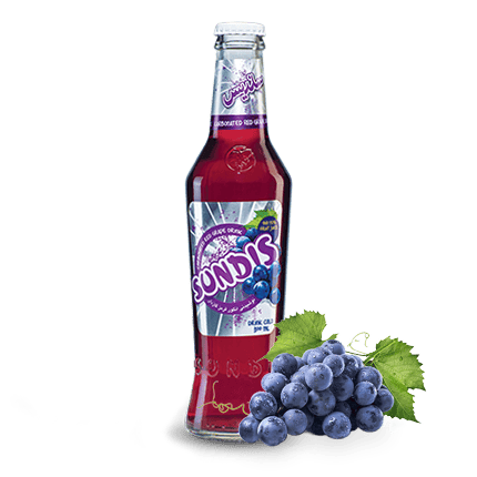 SUNDIS Assorted Sparkling Fruit Drinks 250 ml Glass Bottle