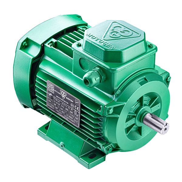 Three-phase induction electromotor, single-turn, aluminum frame 63M2A .18-3000 54F 220/380 B35 IE4