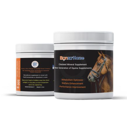 Bonzahorse