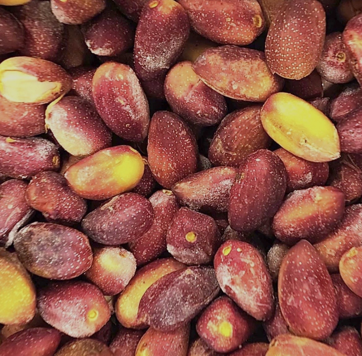 Premium Fresh Raw Pistachio Nuts
