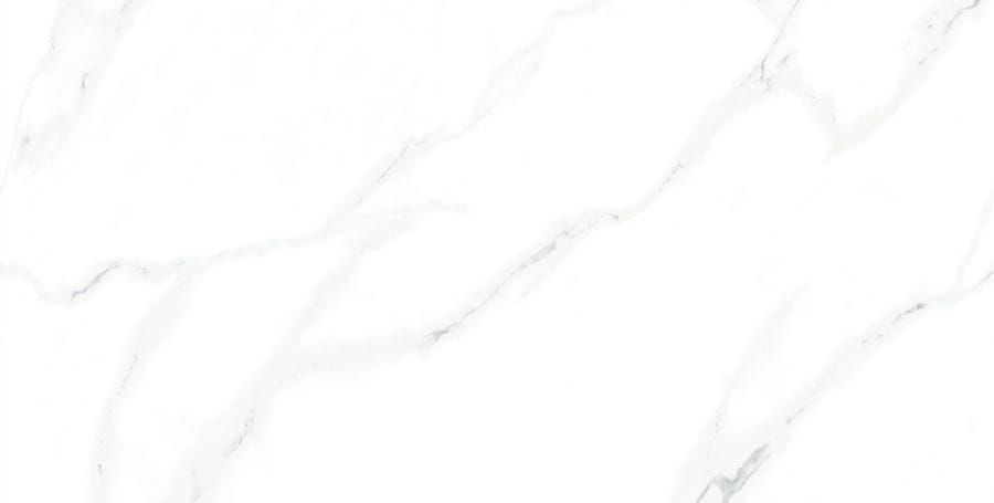 Arisha Tile | 60x120