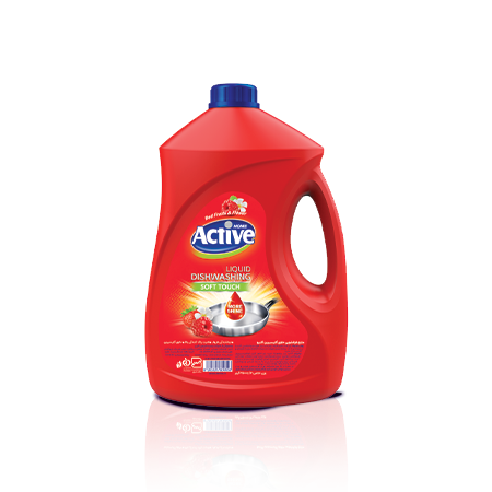 Active Dishwashing Liquid Silver Series 2000gr