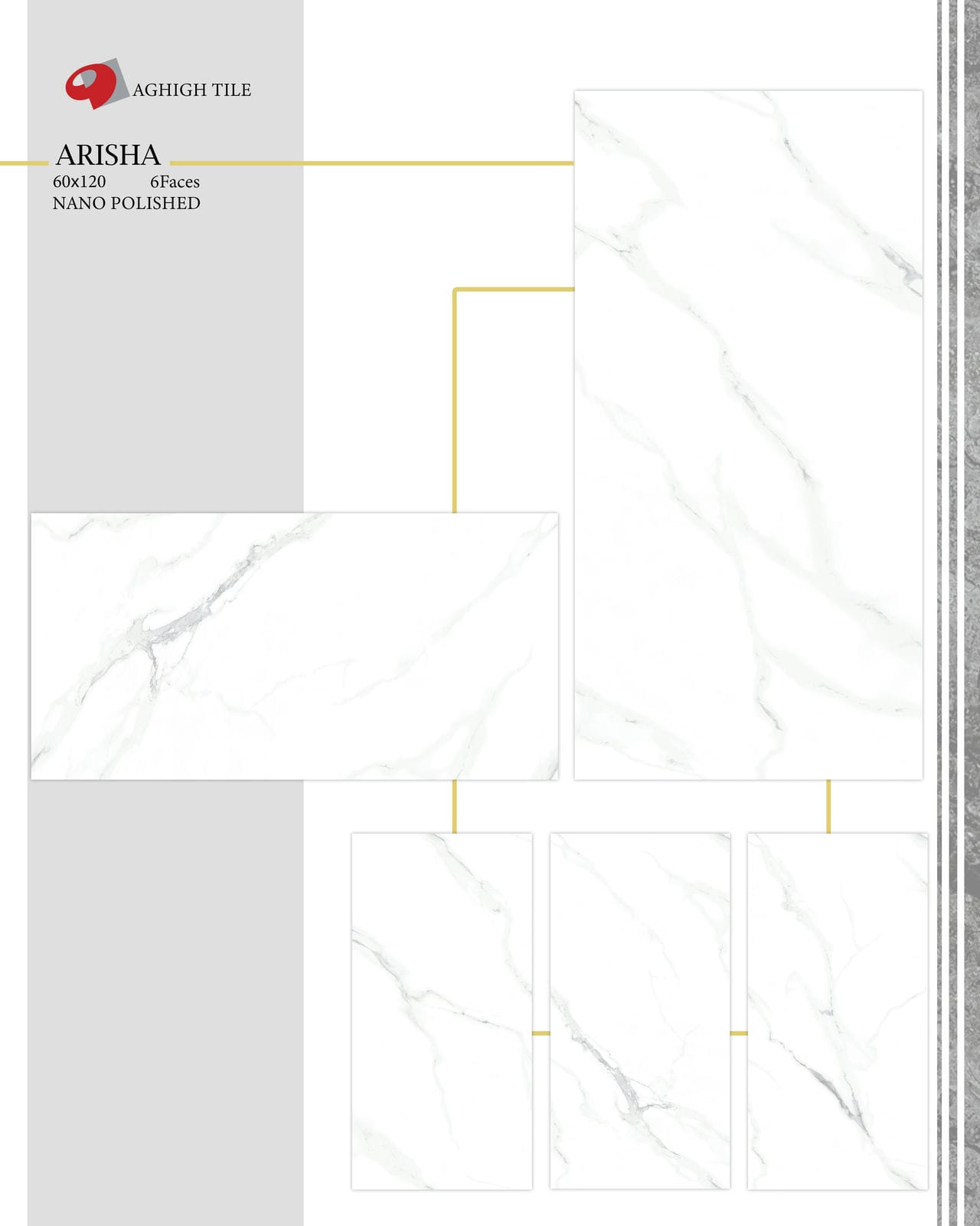 Arisha Tile | 60x120