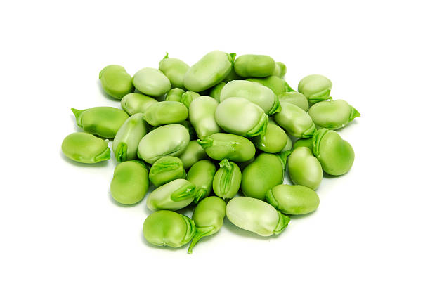 Frozen Fava Beans