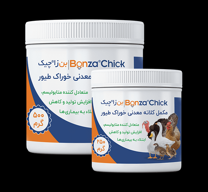 Bonzachick