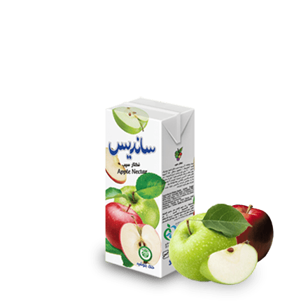 Sanariss Assorted Fruit Nectar 200 ml Tetra Pak