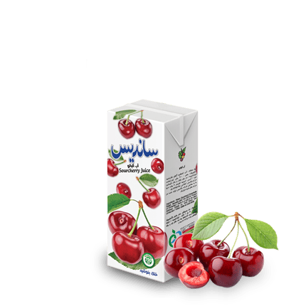 Sanariss Assorted Fruit Nectar 200 ml Tetra Pak